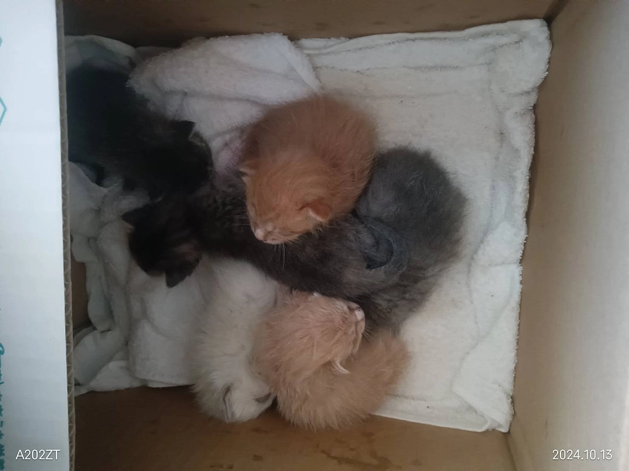 続く時は続く…