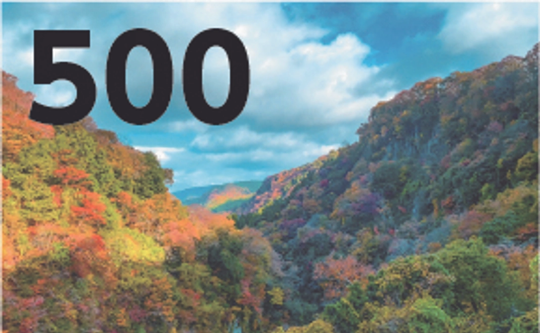 【応援プラン】＜500円＞