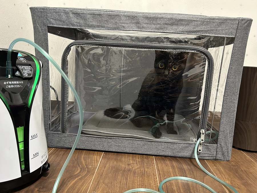 家でできること（水素療法）