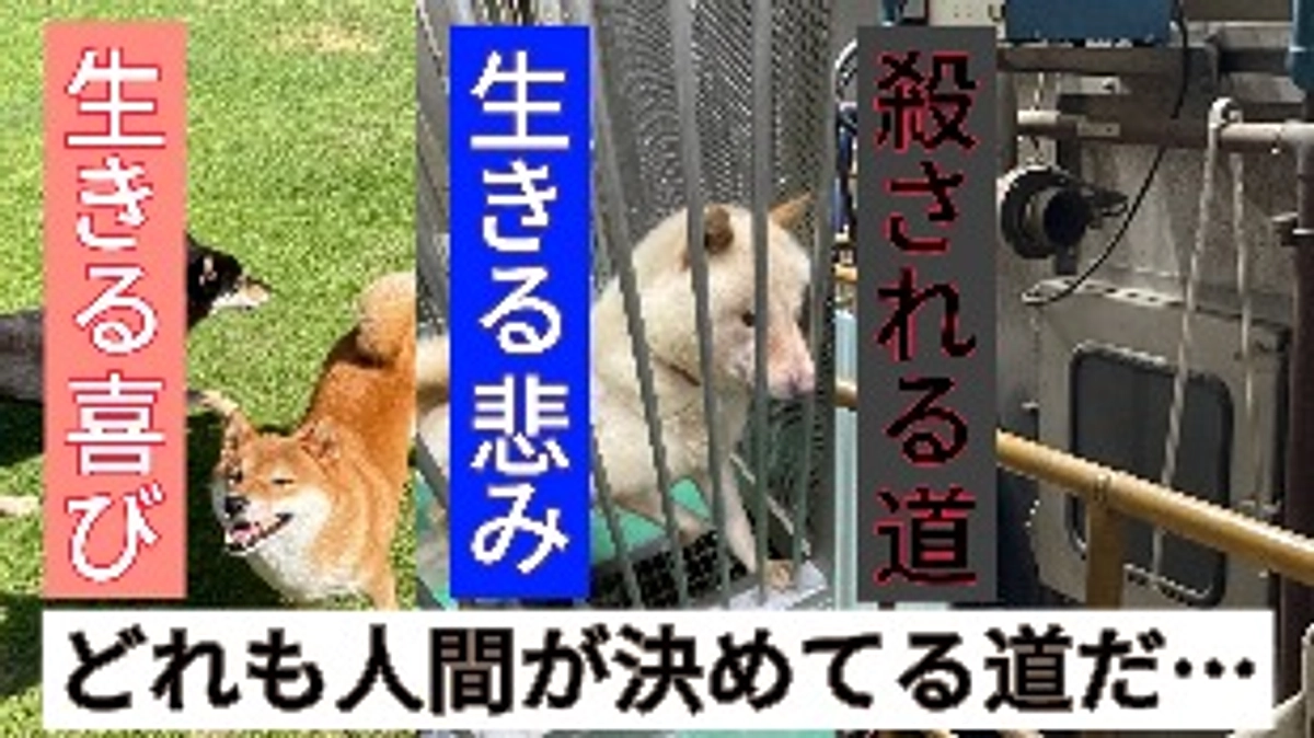 残り時間58時間…生きれる道を創りたい