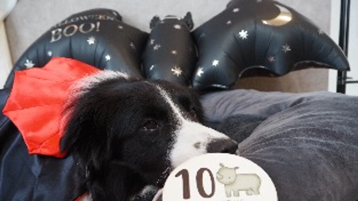 終了まで残り1日