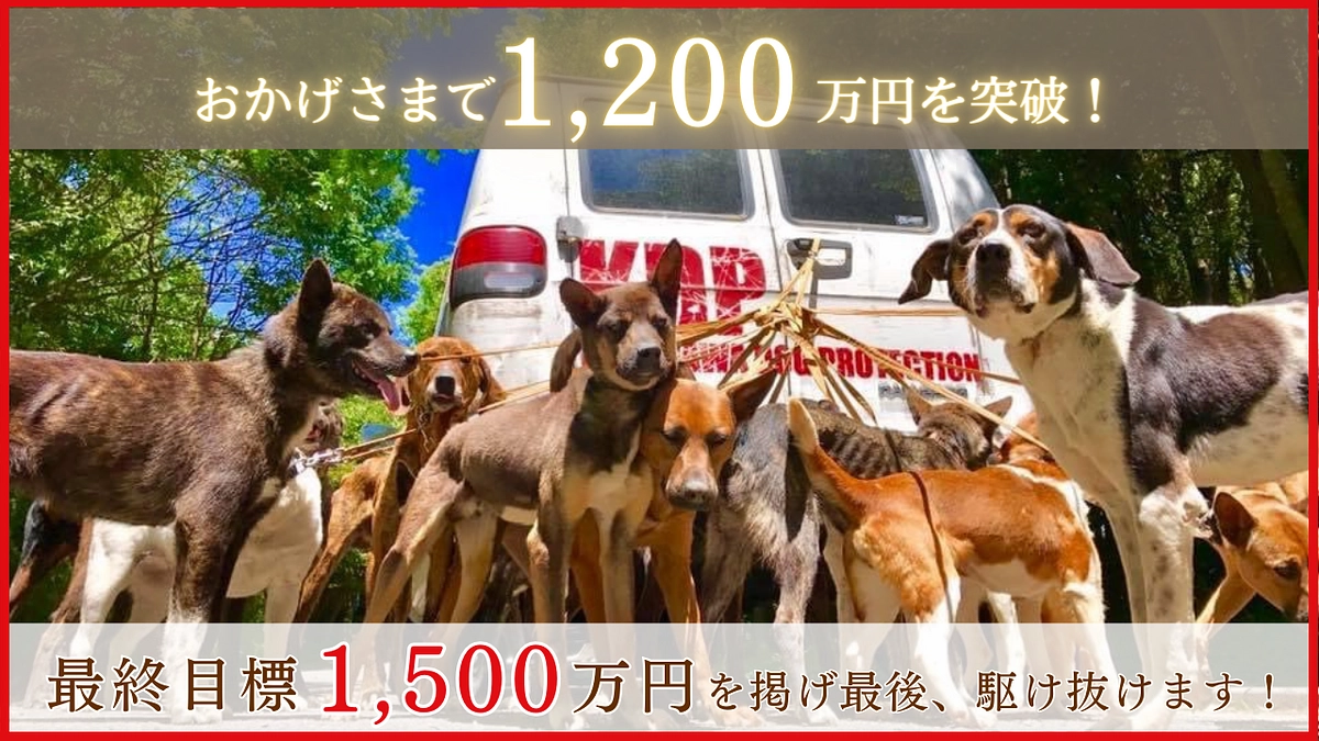【1200万円達成しました！】第三目標達成のお礼と最終ゴールについて