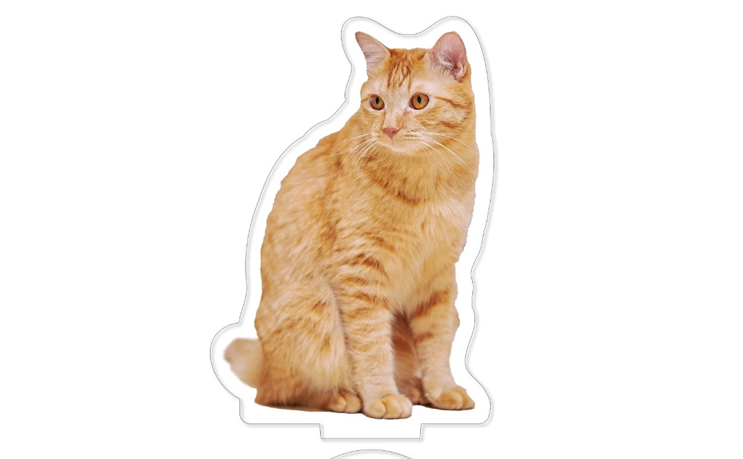 つなのアクスタ＋ラーメン１杯無料券で応援