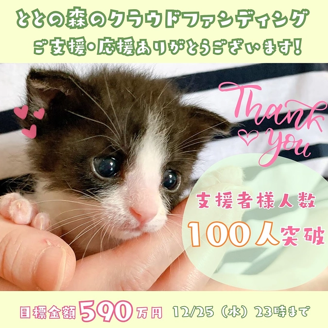 【支援様人数100人突破】自然災害の時に愛猫と一緒に避難できるように