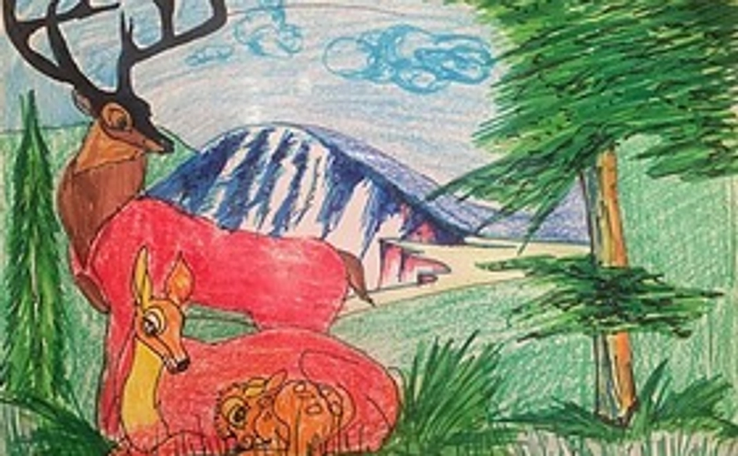 トングリ村の子どもたちが描いた「将来のトングリ村」
