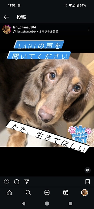 Laniの声を聞いてください。