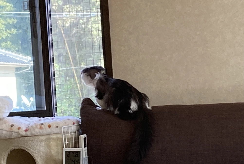 10/14のテオくんの様子