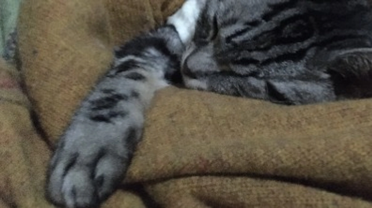 残り4日となりました。ご支援どうか宜しくお願い致します！