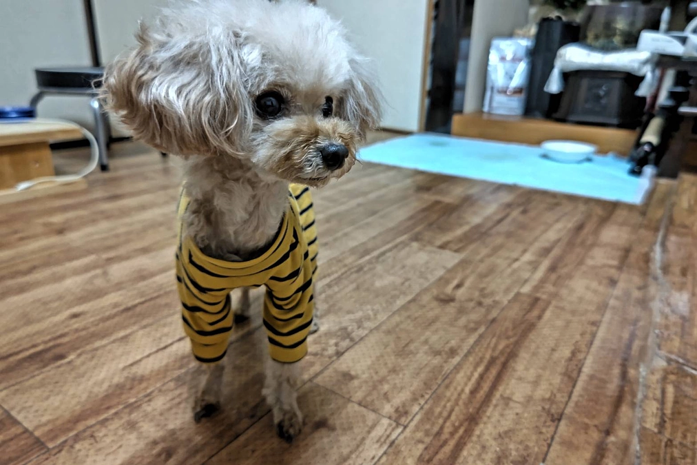 手術後初シャンプー！