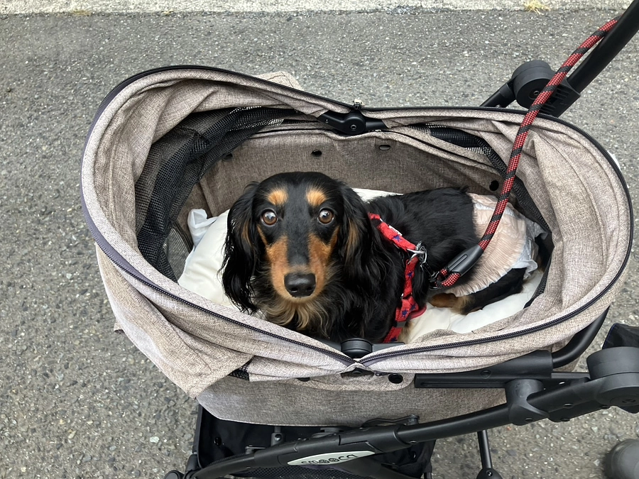 闘病記録【退院の日、そして始まった介護とリハビリの時間】