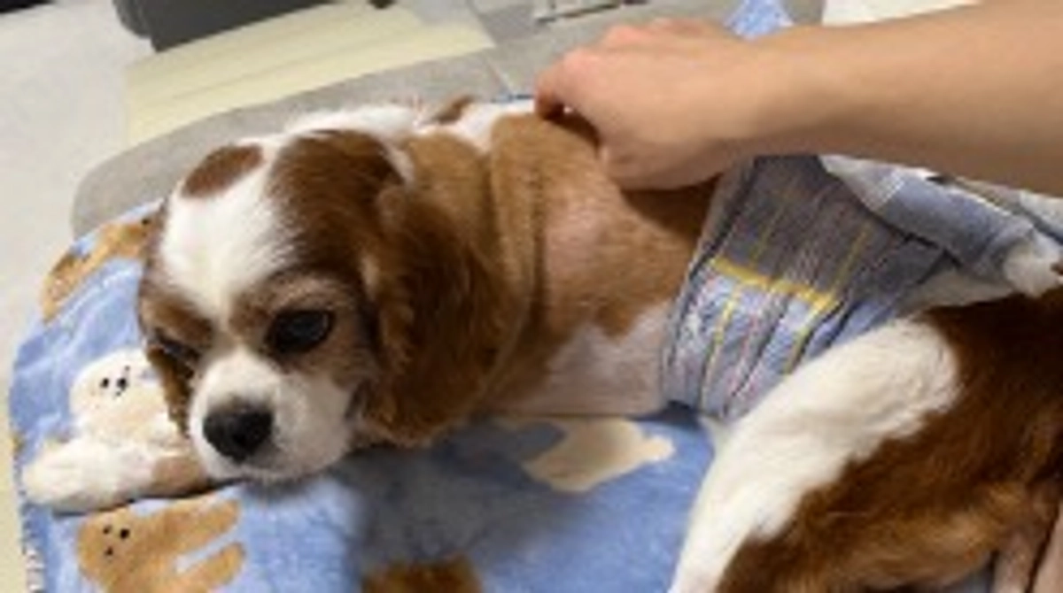 退院2日目。急遽病院へ行ってきました💦