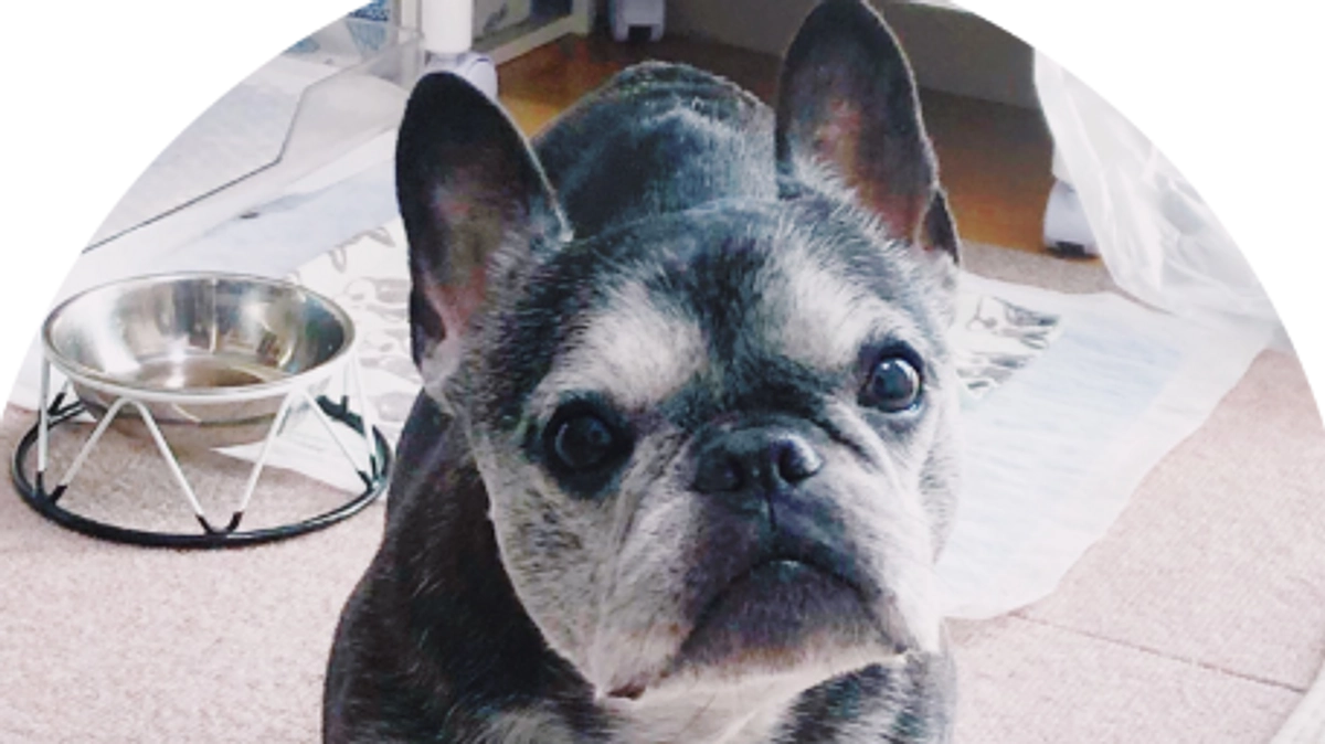 代理支援について　その2（銀行振込の追加）