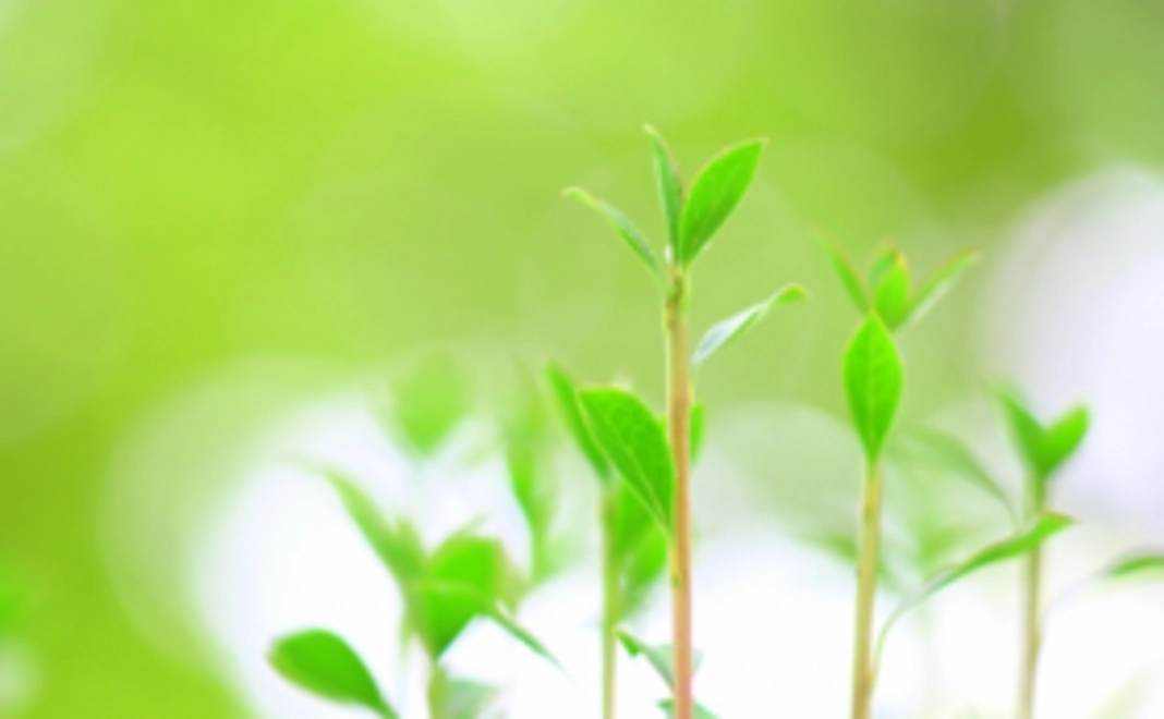 サンクスメールの送付