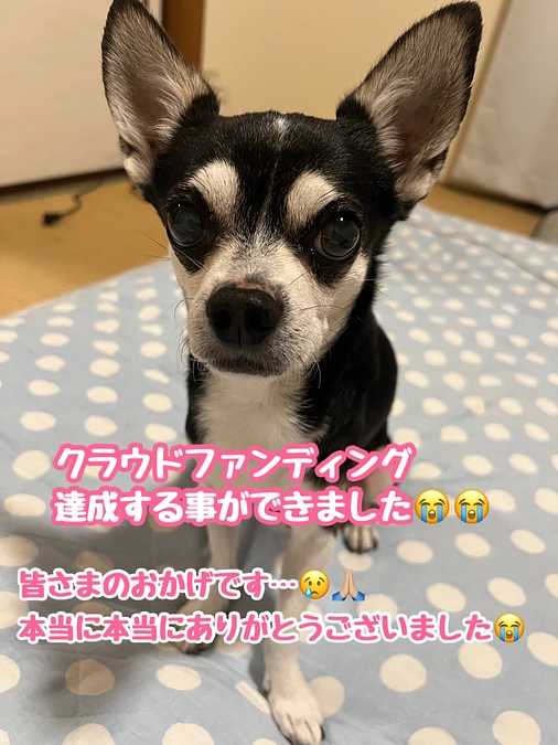 クラウドファンディング達成しました‼︎
