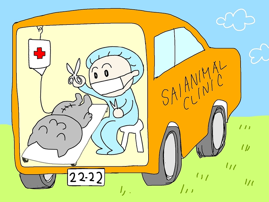 新たなチャレンジ　不幸な命ゼロをめざして