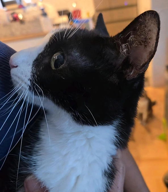 皆様のご支援のおかげで、ネクストゴールまで達成することが出来ました。