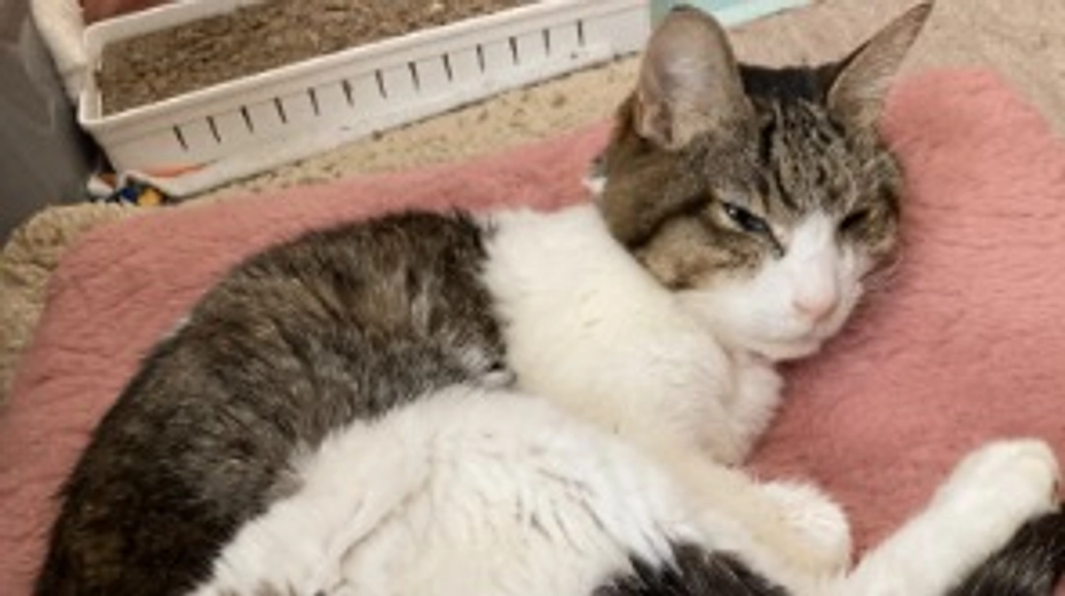 1/28 おはようございます☀️