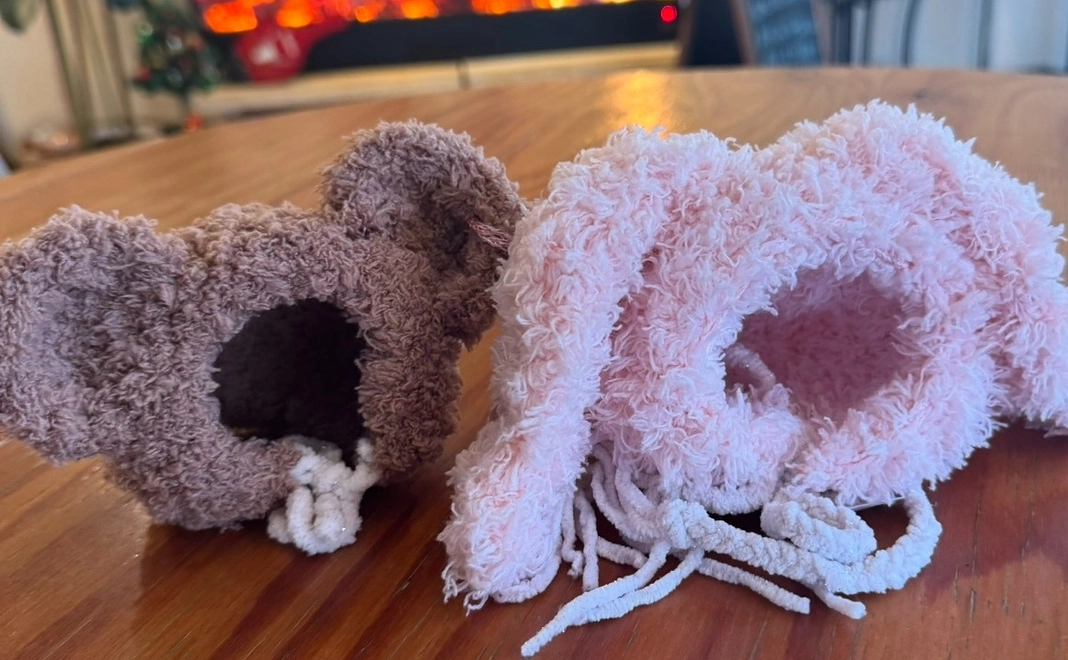 愛犬ニット帽（クマ）