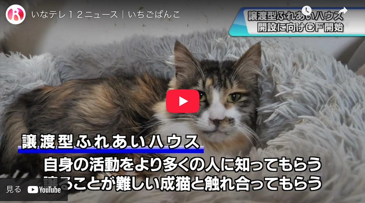 伊那ケーブルテレビで紹介いただきました！(VTRあり)