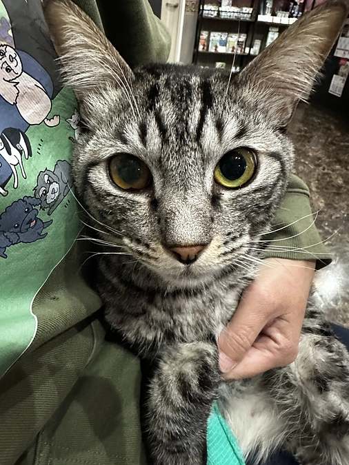 スタートして24時間経ちました！