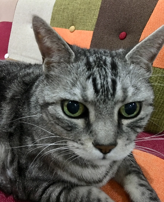 保護活動によって救われたのは私の方でした…