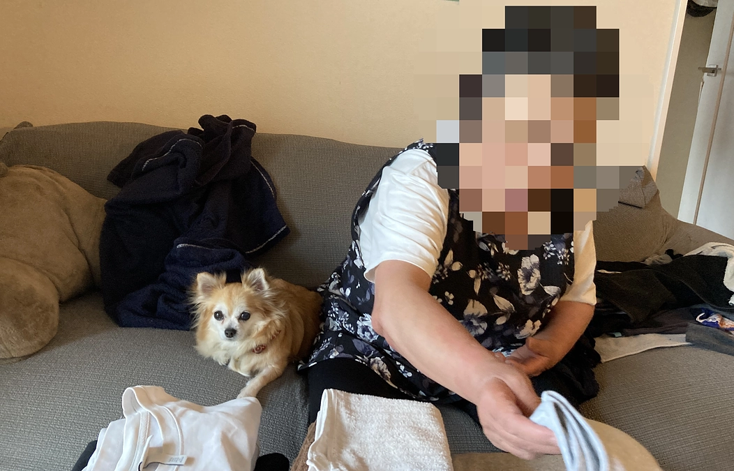 こつぶの新たな挑戦: 心臓の病との闘い