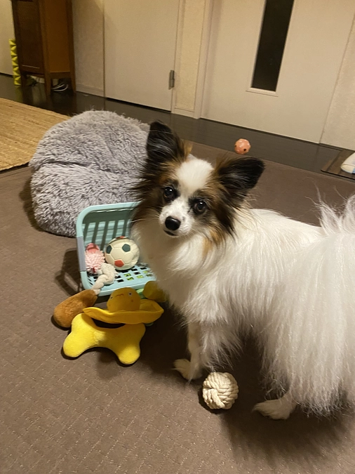 🌷インスタライブに参加させて頂きました🌷