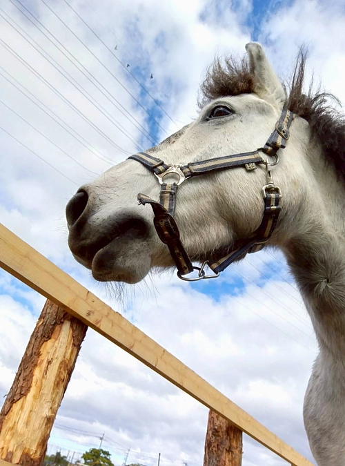 最近一気に寒くなりました