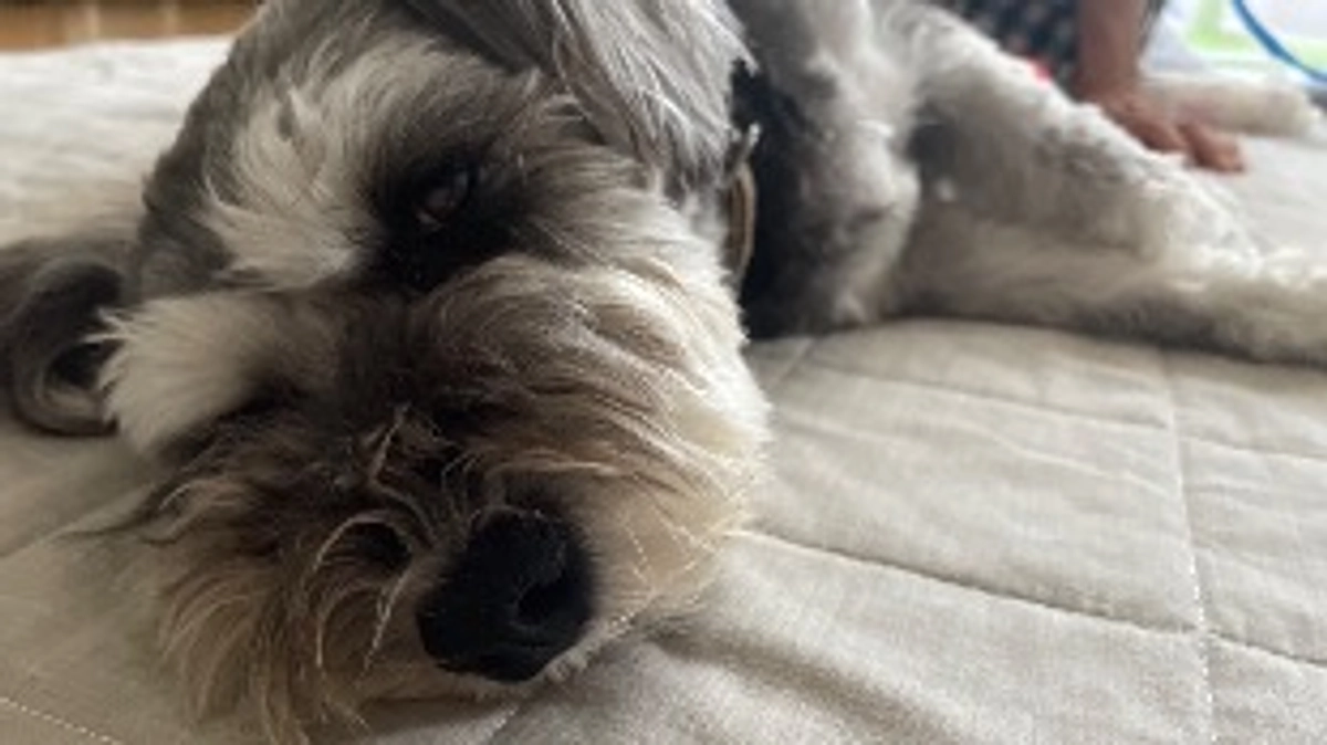 酷い発作が起きてしまいました😰