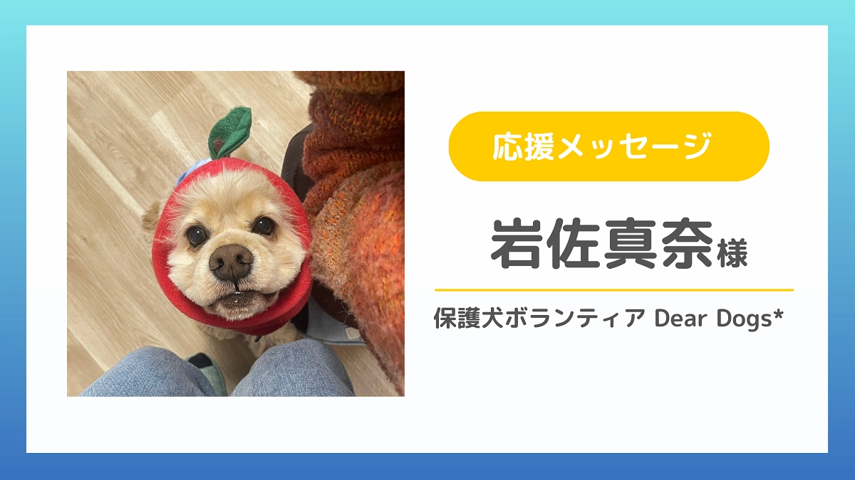 【応援メッセージのご紹介】岩佐真奈様（保護犬ボランティア Dear Dogs*）