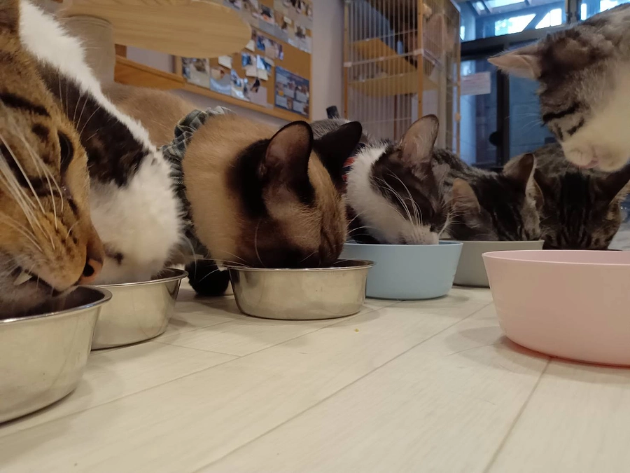 リターン送付とカフェスペースについて。