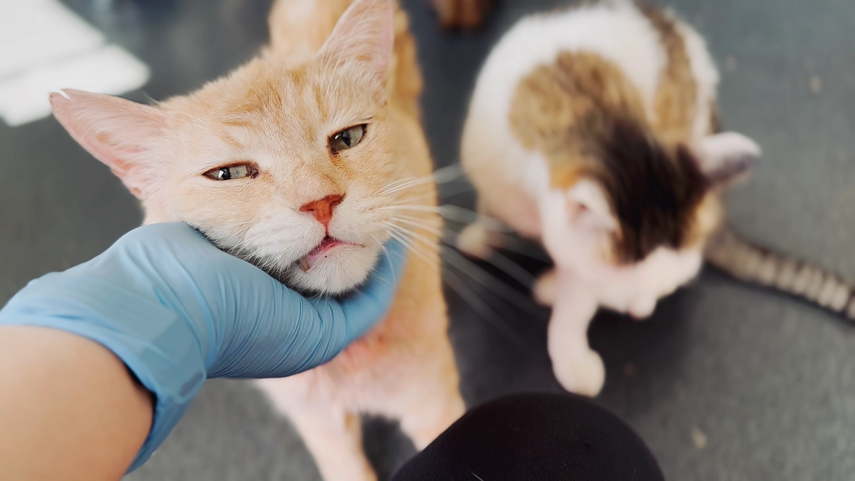 ネクストゴール達成！！