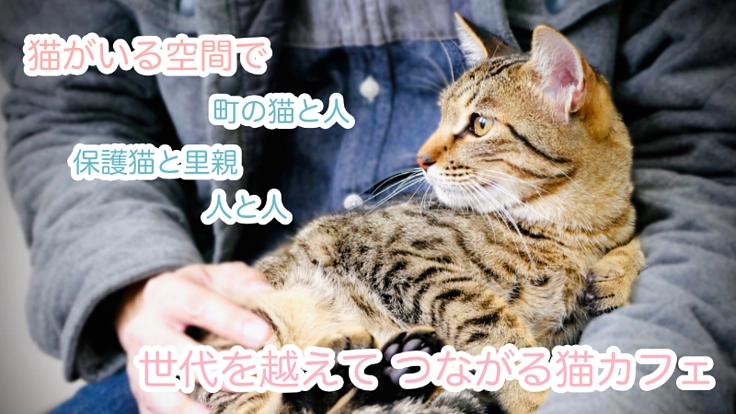 地域の人や里親さんと猫の出会いの場をつくり、活動の継続を!!