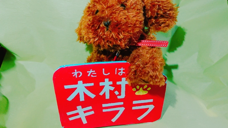 コロナに共に戦おう‼️ 今こそペットに真の家族として氏名を‼