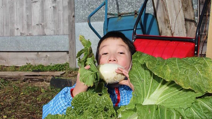 昨年10月台風被害にあったニセコの農園施設改修にご協力ください