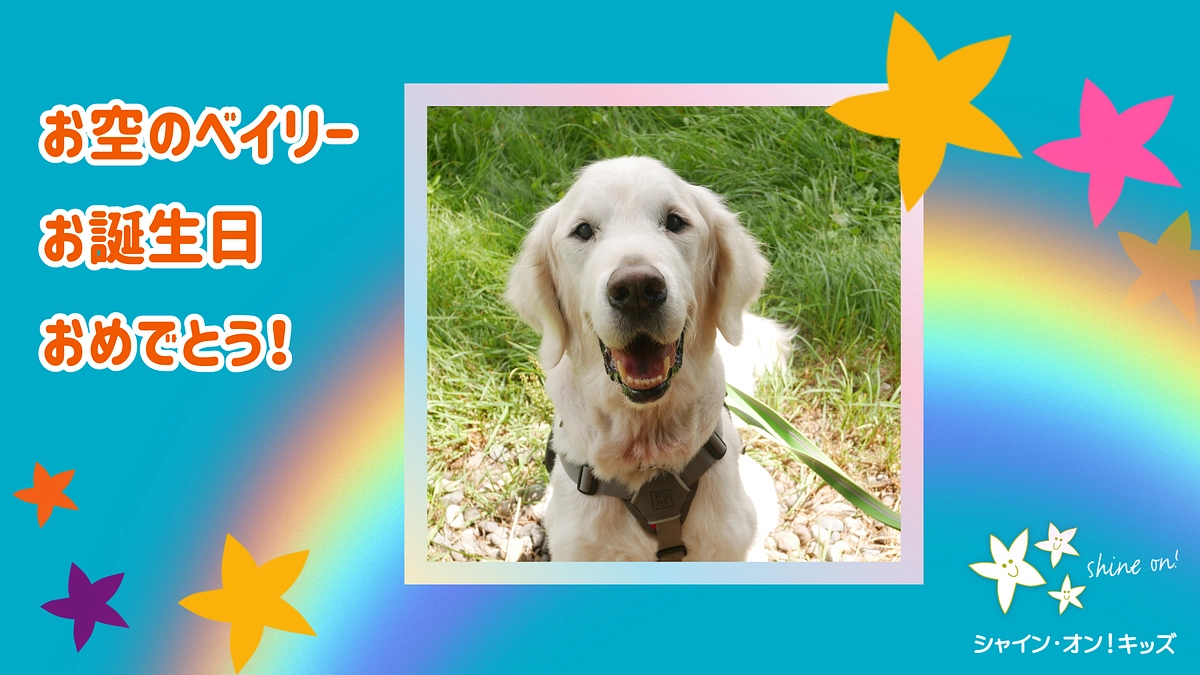 12月14日は日本初のファシリティドッグ、ベイリーのお誕生日！