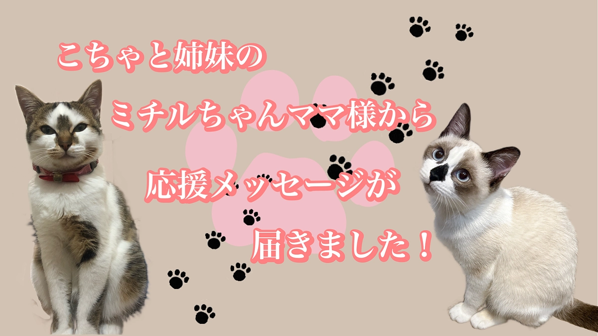 こちゃの姉妹！ミチルちゃんのママ様から応援メッセージが届きました！