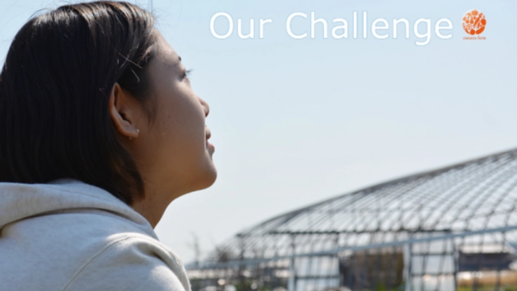 京野菜万願寺とうがらし生産の為のビニールハウスを建設したい