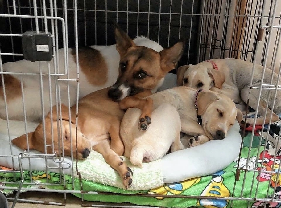 レーベンっ子のご紹介③ 保育士イケメン千輝（ちあき）くん