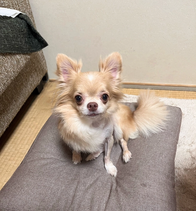 術後1ヶ月検診に行ってきました