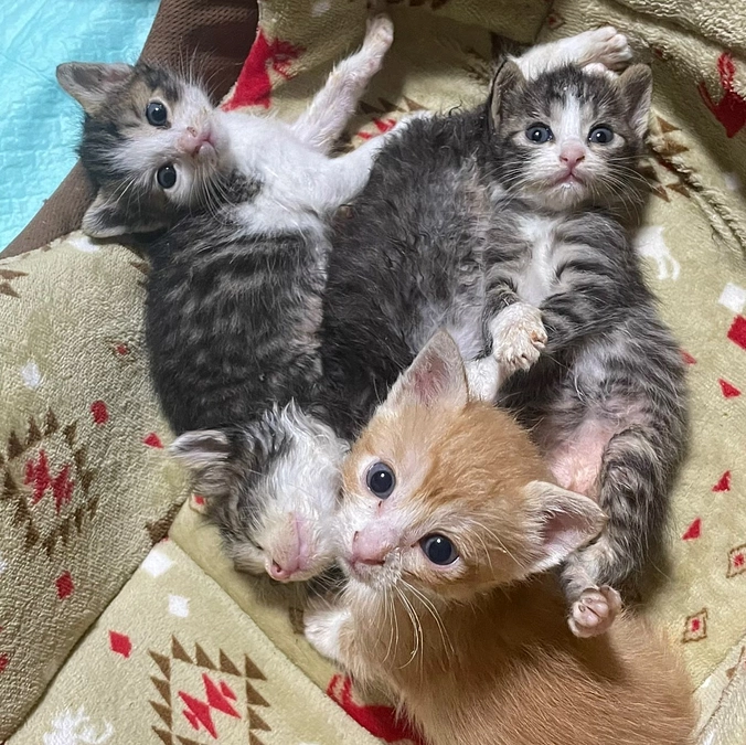 4歳になりました🎉🎂