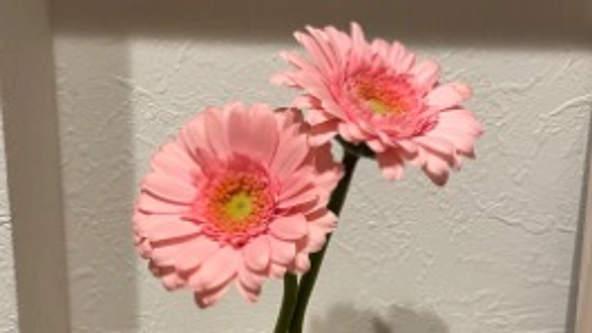 リターンを送付しました