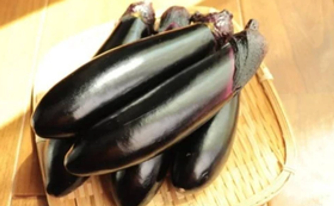 産地直送！素材を楽しむ！こだわりの茄子