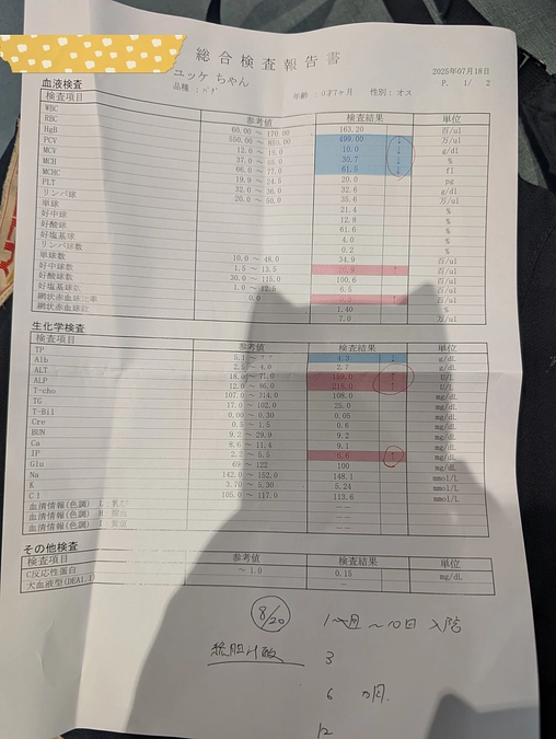 一難去って無いのにまた一難😭