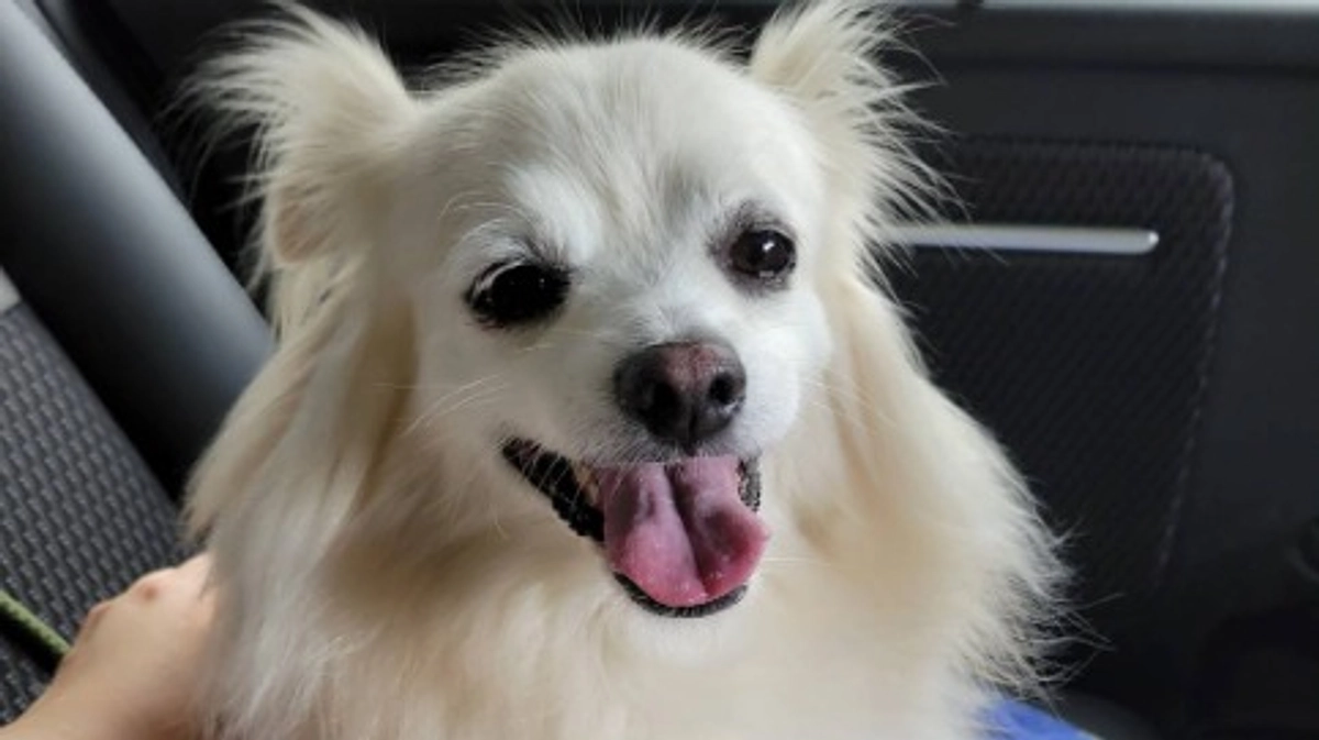 【残り9日】手術のために入院🏥