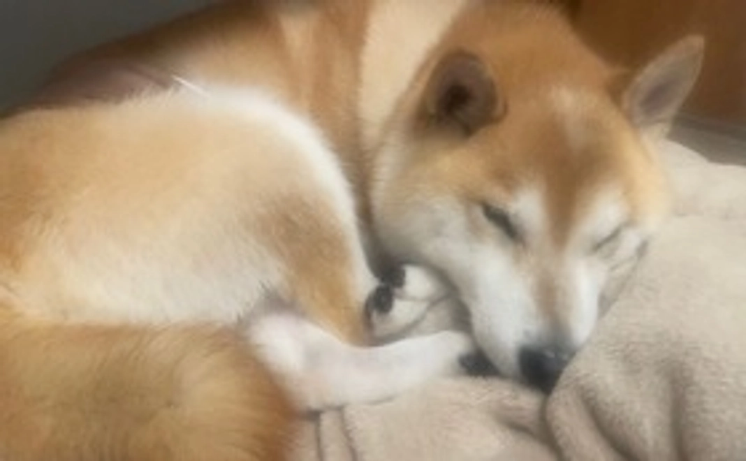 そらへのご支援2