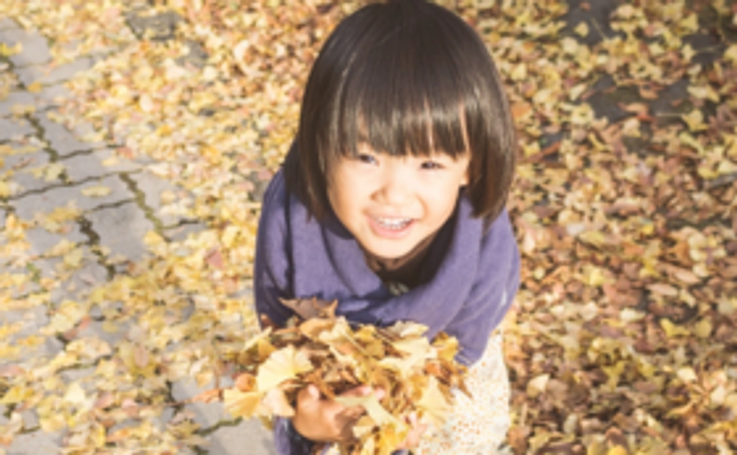 テラヘルツについての説明書をお送り致します！