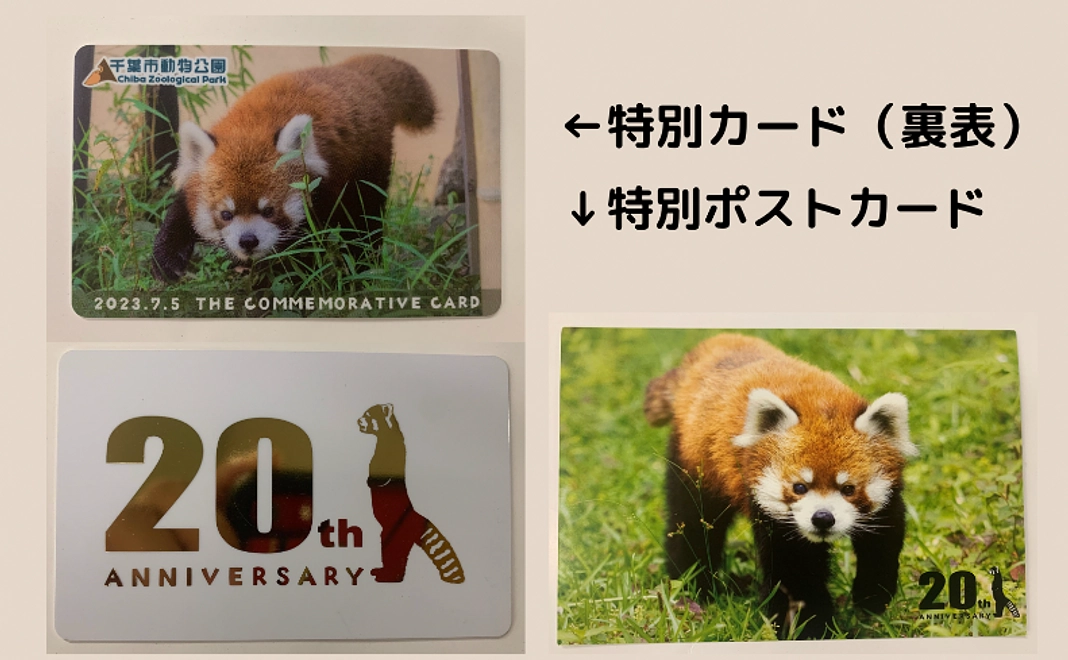 【7/21追加】風太20歳特別カード＋特別ポストカード＋クリアファイル（20th特別開園ポスターデザイン）コース