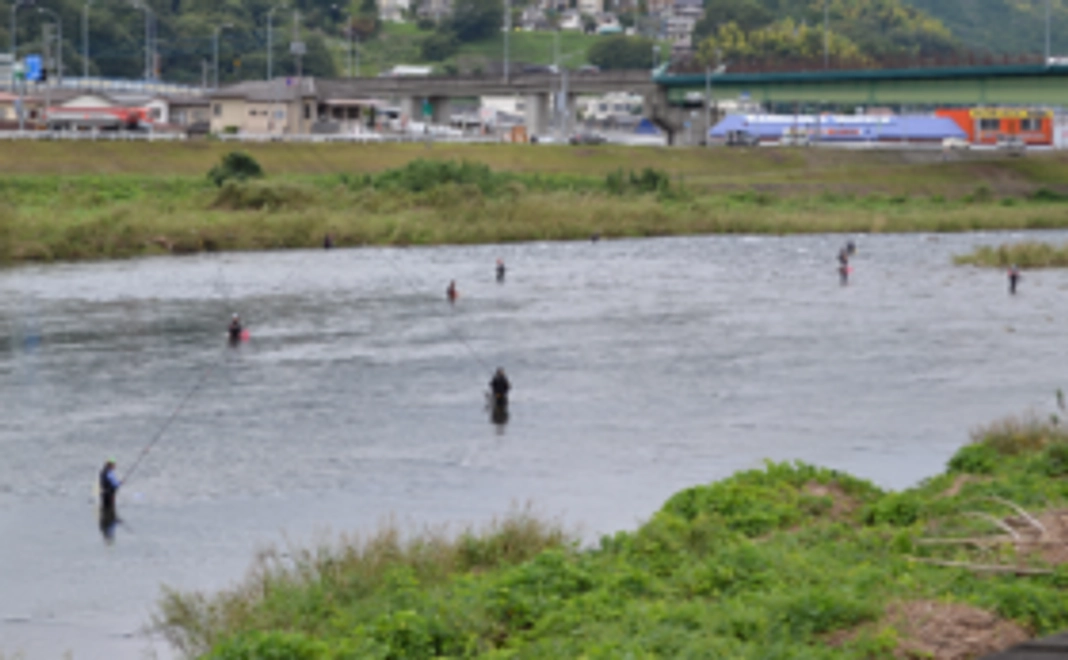【地元名物！】鮎もなかなどのお菓子詰め合わせ