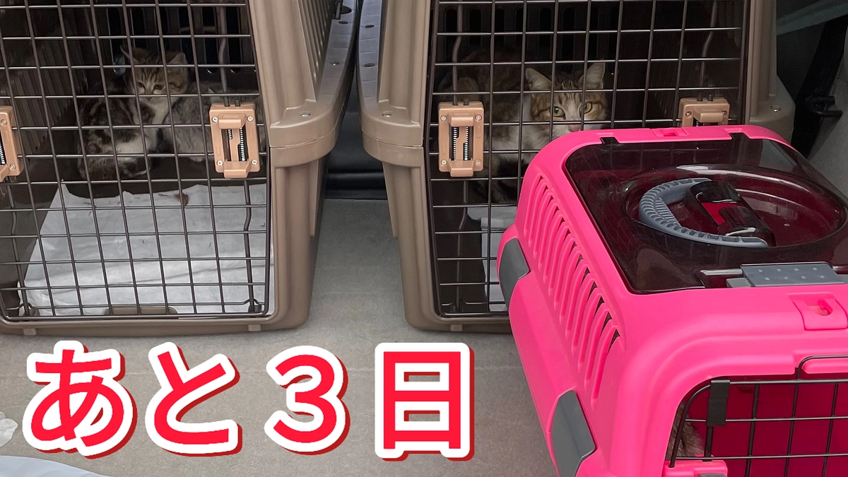 『時間がありません』